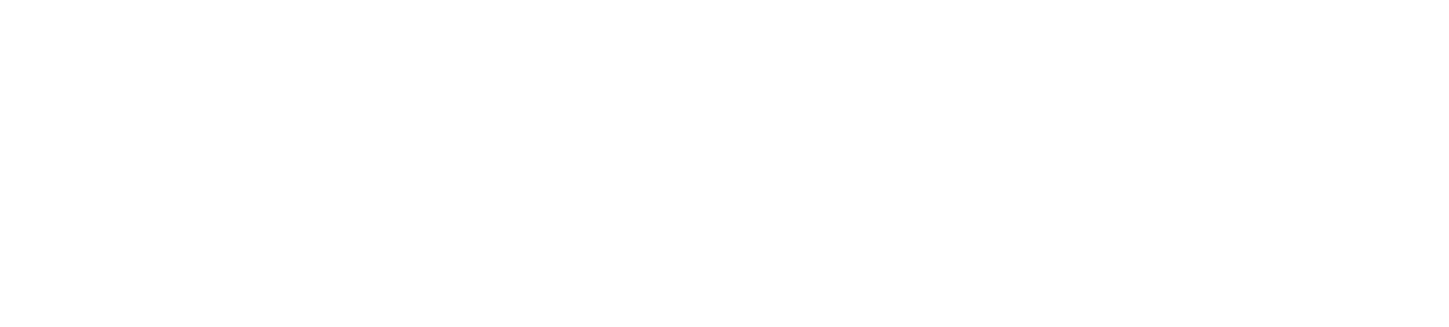 USN logo