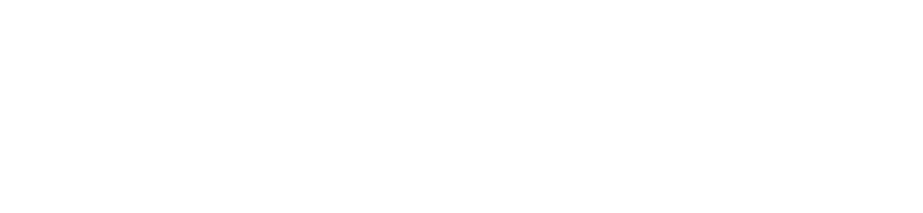 USN Logo