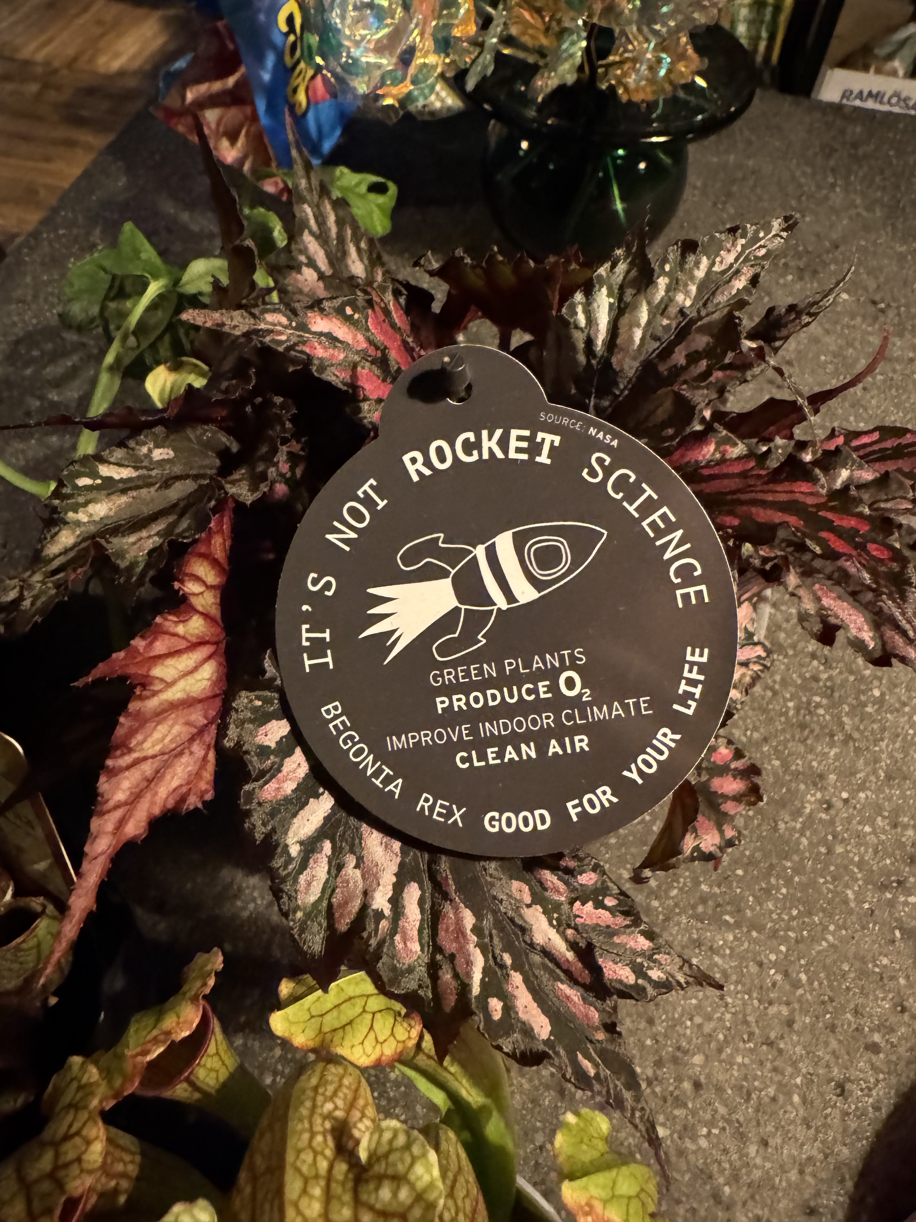 Picture of the project